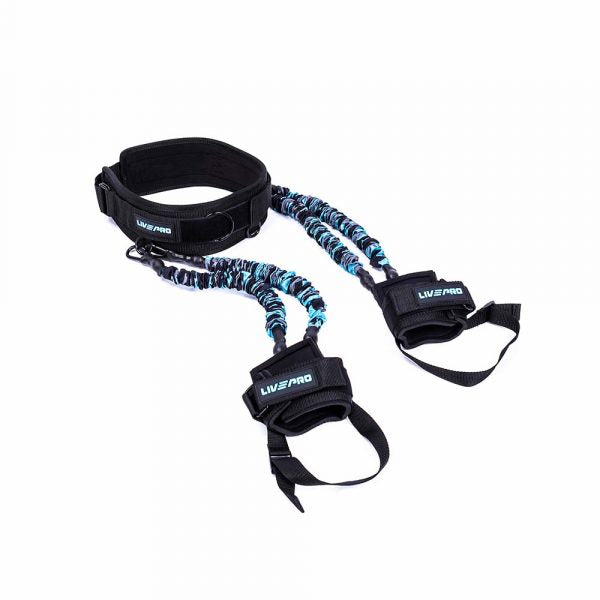 Bouncer Training LP8429