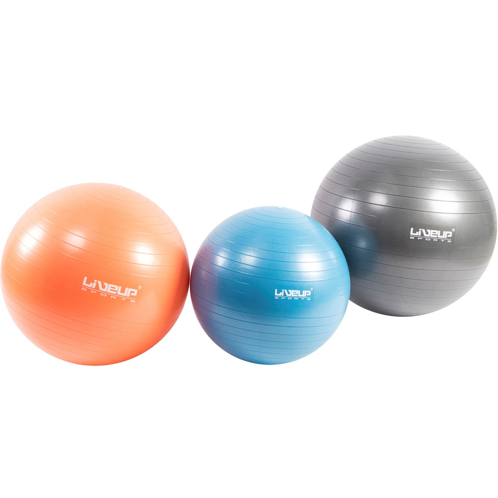 anti burst gym ball ls3222