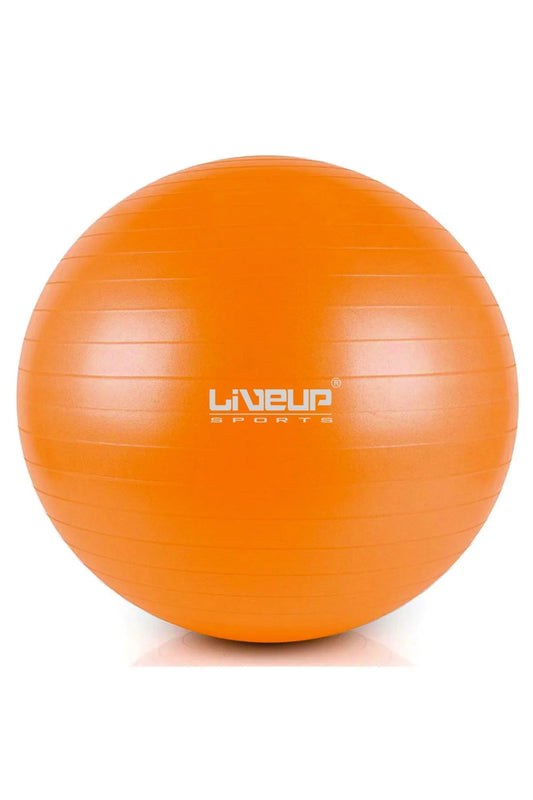Anti Burst Gym Ball - 65cm