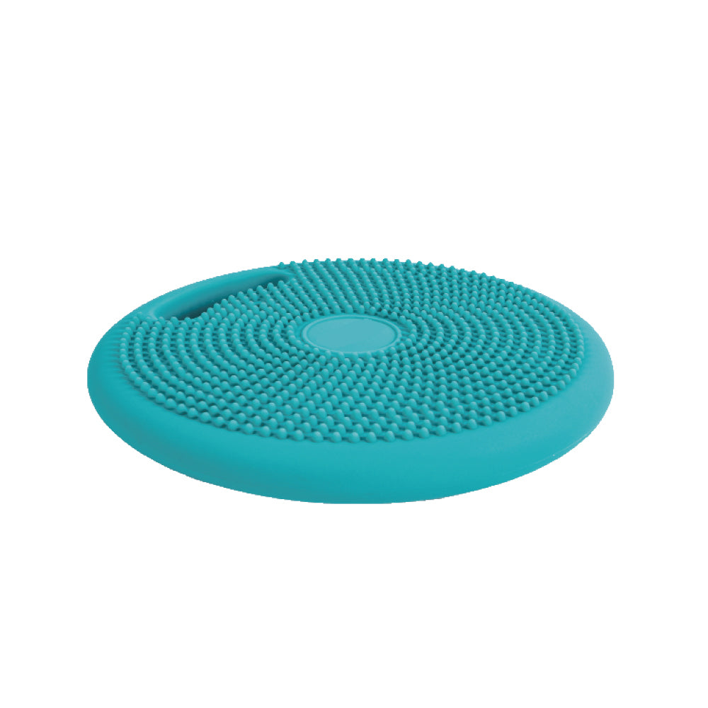 Massage Cushion
